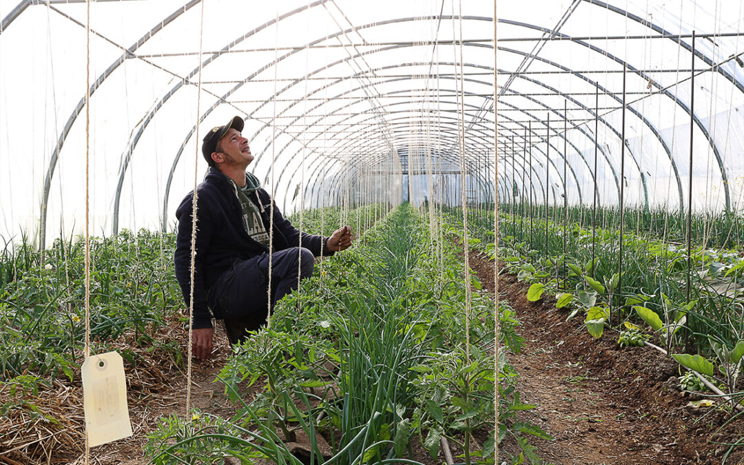 LE POTAGER DES GARENNES