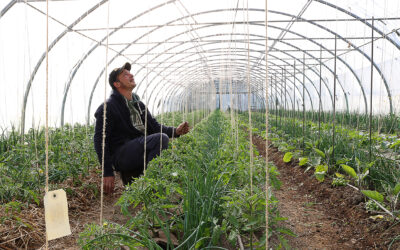 LE POTAGER DES GARENNES